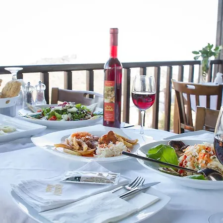 宾馆 卡斯泰罗小屋酒店 内奥斯潘特雷蒙纳斯